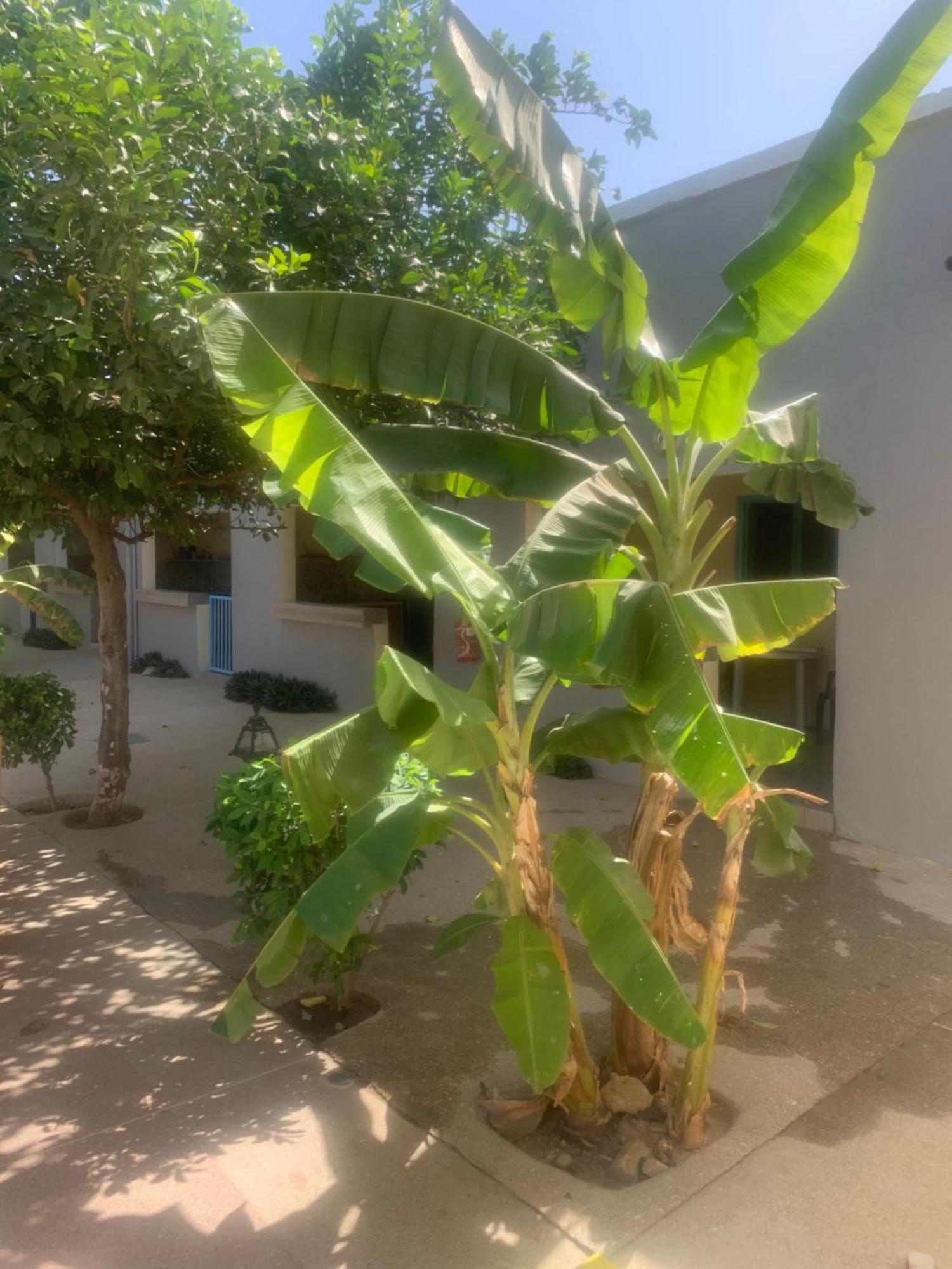 Auberge Keur Ely Ouoran Exterior foto